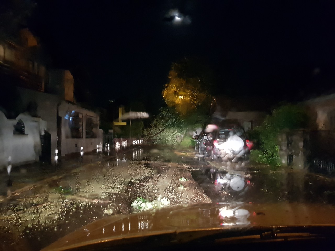 Posledice nevremena koje je zahvatilo i Požarevac FOTO GALERIJA – POPORTER