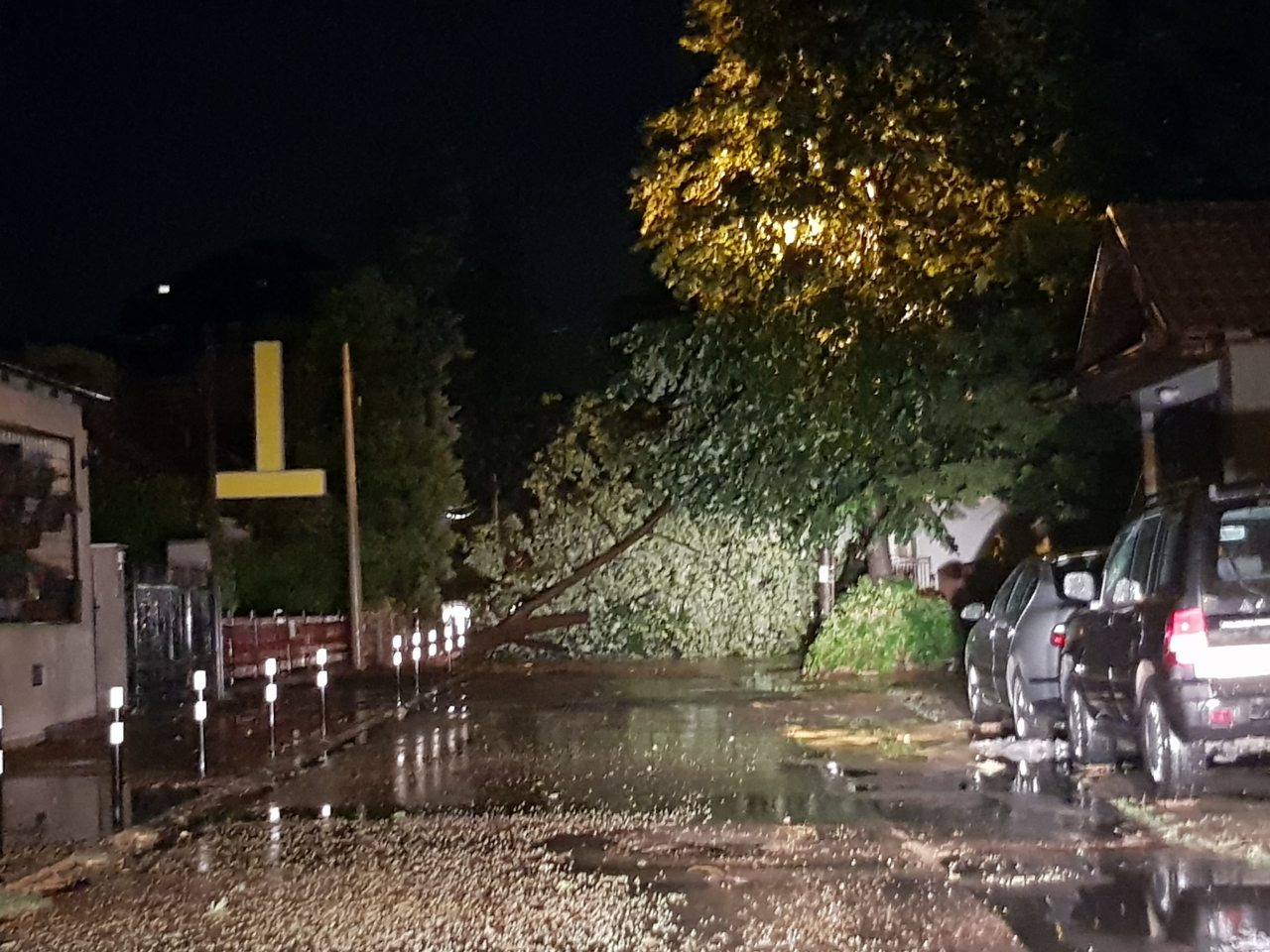 Posledice nevremena koje je zahvatilo i Požarevac FOTO GALERIJA – POPORTER