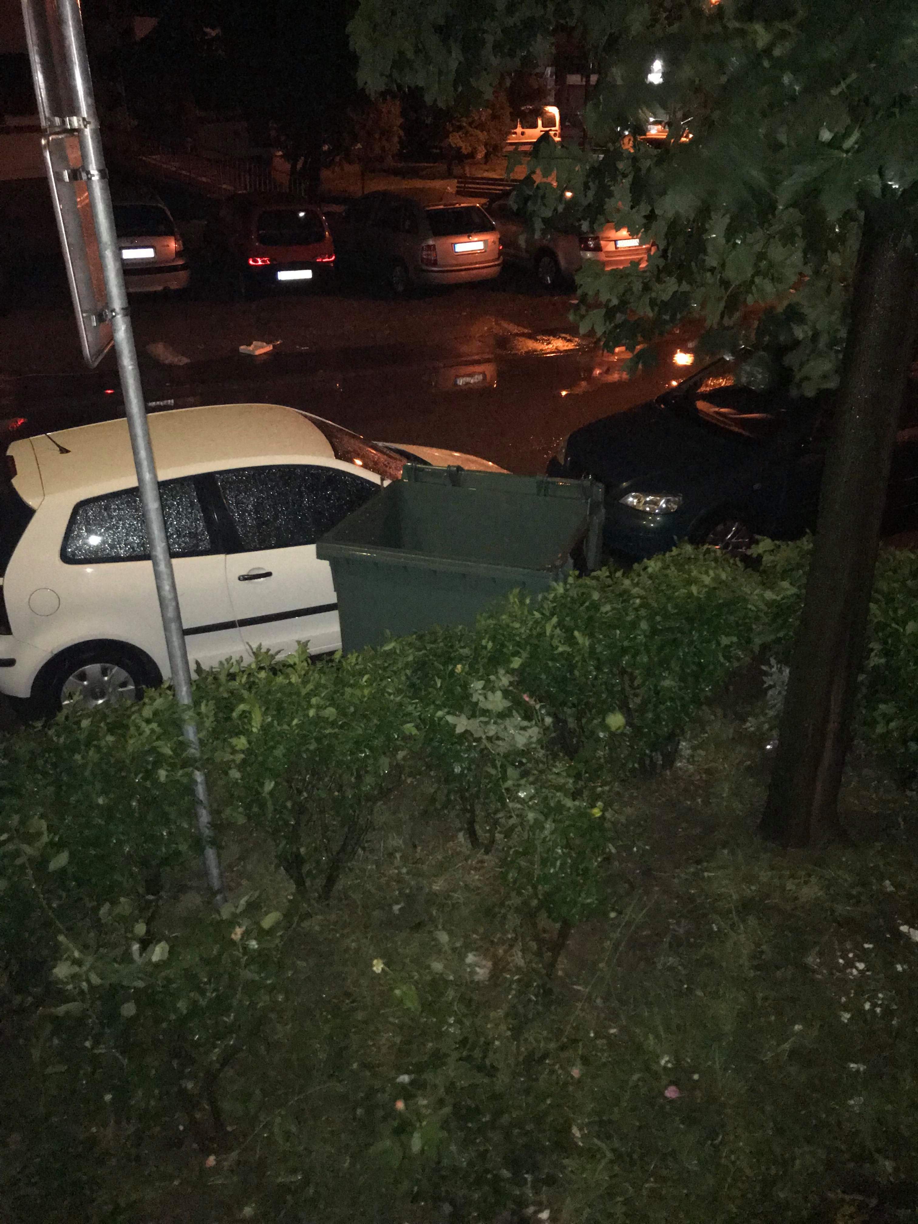 Posledice nevremena koje je zahvatilo i Požarevac FOTO GALERIJA – POPORTER
